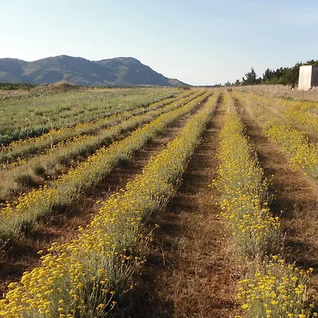 Bed & Breakfast Fragus E Saboris De Sardigna 3*