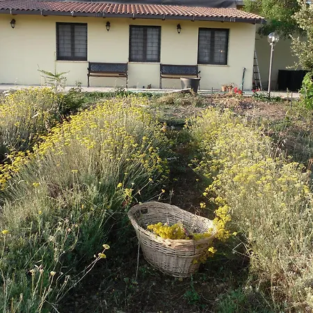 Fragus E Saboris De Sardigna Bed & Breakfast