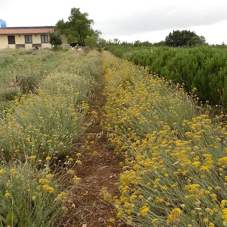 Bed & Breakfast Fragus E Saboris De Sardigna Sadali