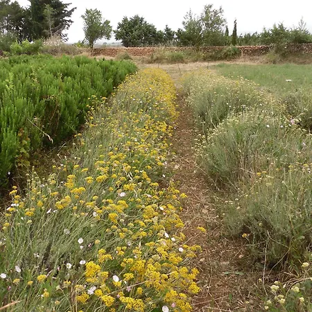 Fragus E Saboris De Sardigna 3* Sadali
