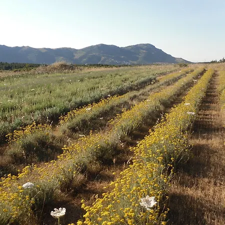 Fragus E Saboris De Sardigna Alojamento de Acomodação e Pequeno-almoço Sadali