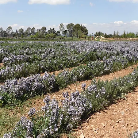 Alojamento de Acomodação e Pequeno-almoço Fragus E Saboris De Sardigna Sadali