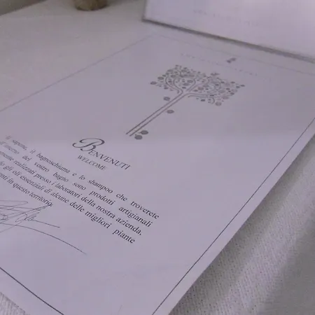 Fragus E Saboris De Sardigna 3*