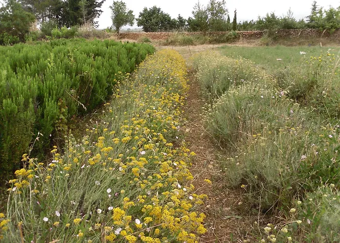 Fragus E Saboris De Sardigna 3* Sadali