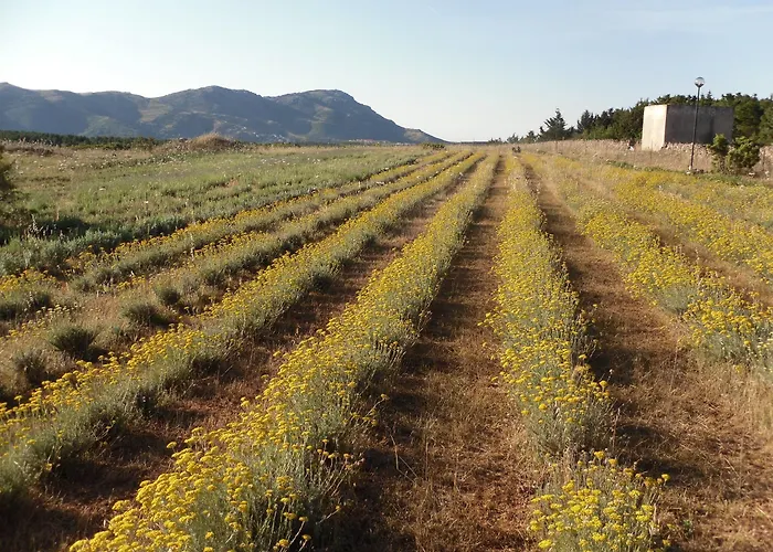 Alojamento de Acomodação e Pequeno-almoço Fragus E Saboris De Sardigna 3*