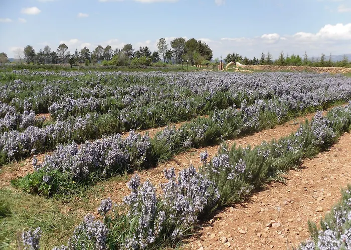 Alojamento de Acomodação e Pequeno-almoço Fragus E Saboris De Sardigna Sadali