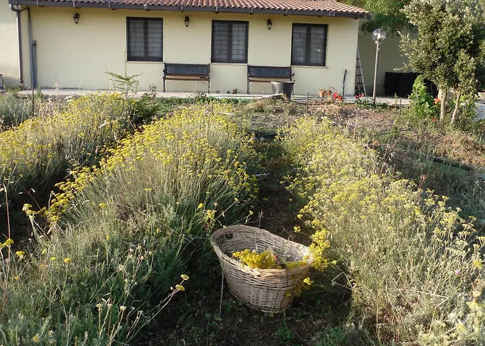 Fragus E Saboris De Sardigna Alojamento de Acomodação e Pequeno-almoço