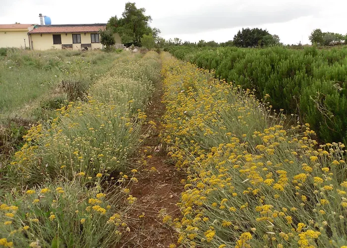 Alojamento de Acomodação e Pequeno-almoço Fragus E Saboris De Sardigna Sadali